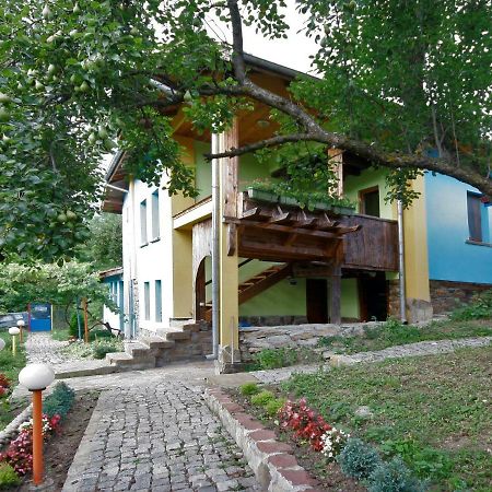Chuchi Guest House 1 Zlatna Panega Ngoại thất bức ảnh