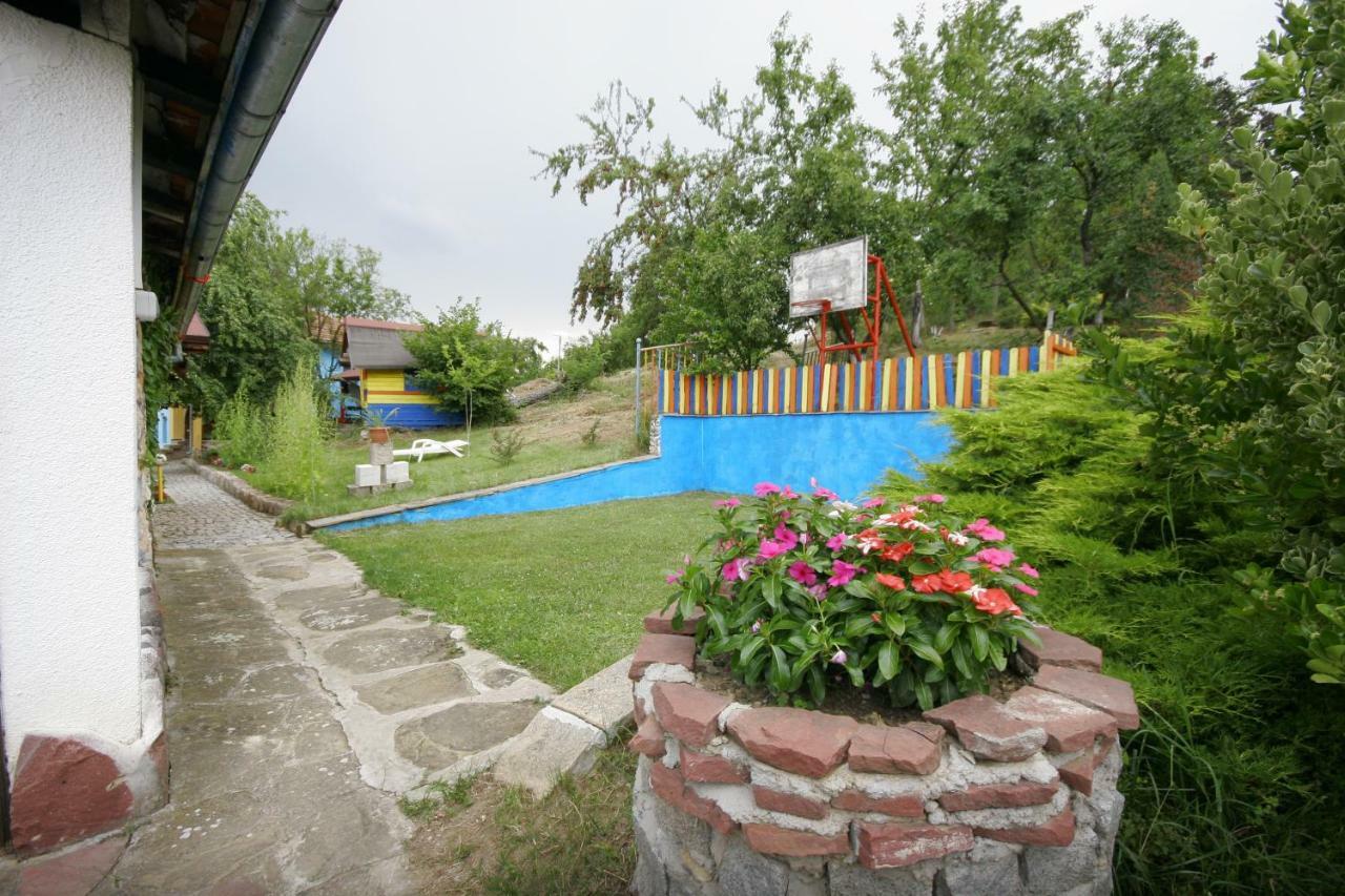 Chuchi Guest House 1 Zlatna Panega Ngoại thất bức ảnh