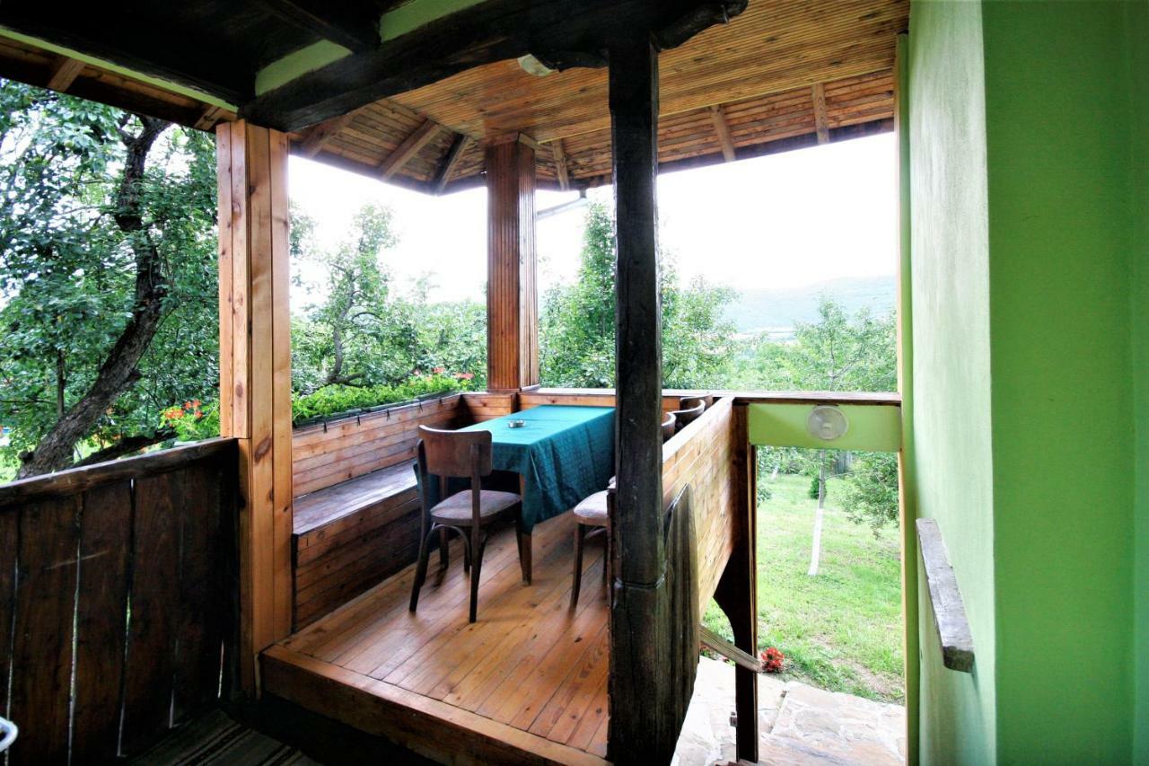Chuchi Guest House 1 Zlatna Panega Ngoại thất bức ảnh
