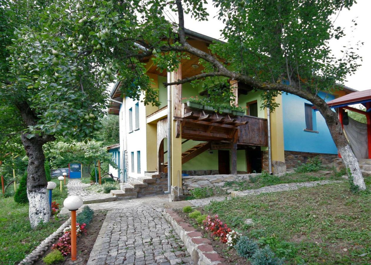 Chuchi Guest House 1 Zlatna Panega Ngoại thất bức ảnh